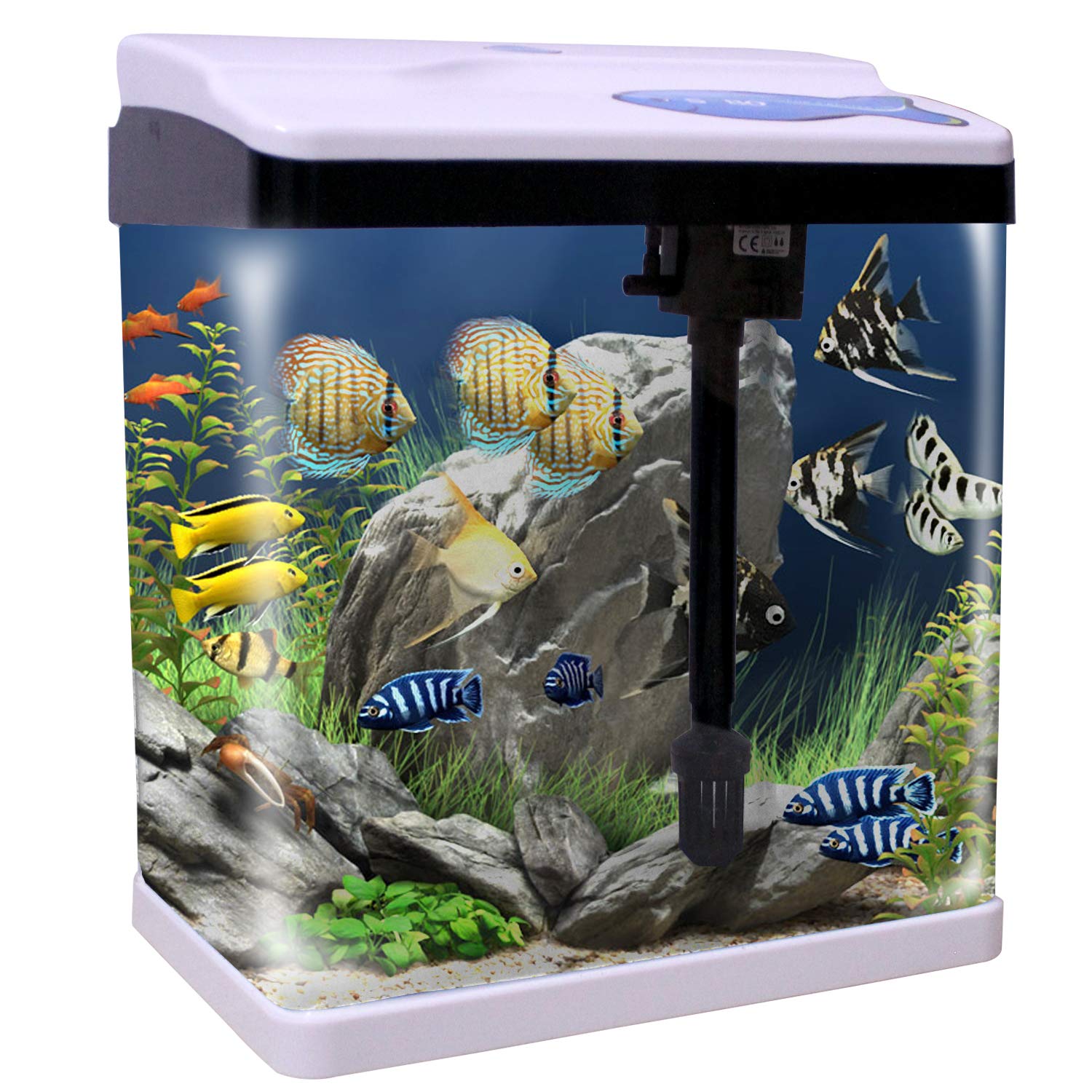 Aquarium Mini Tank